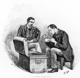 Eine Kuriose Sammlung, Illustration aus 